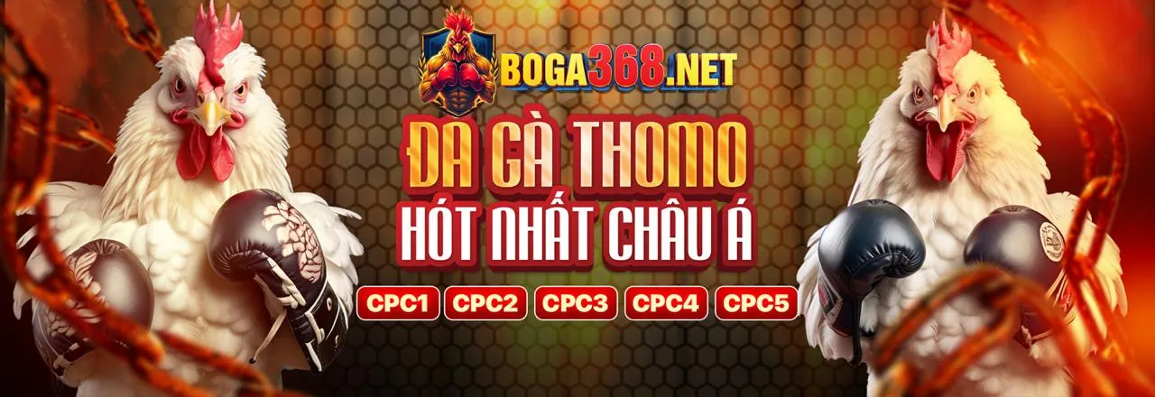 Đá Gà Trực Tuyến 0123win chính thức